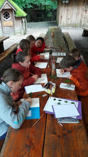 English in Nature Camps - Children studying plants outdoors with guidebooks and drawing in notebooks